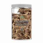 Jatamansi (Nardostachys jatamansi)	